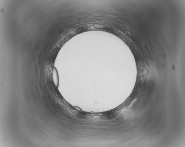 X0000052610523200507292152