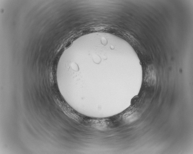 X0000052610524200507292152