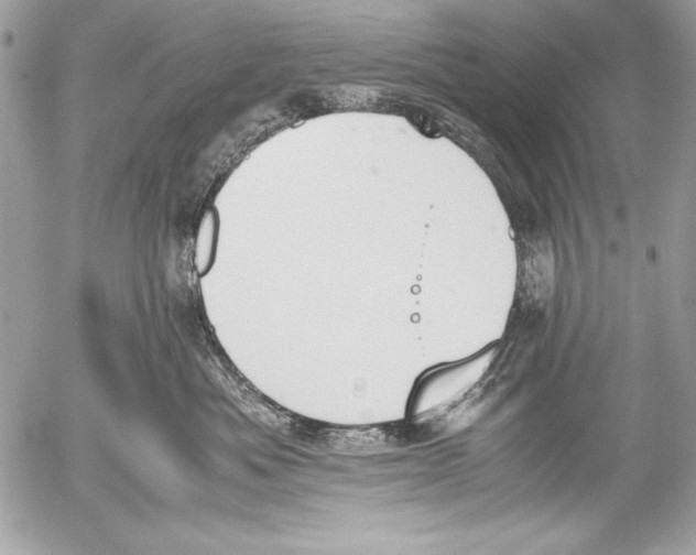 X0000052610525200507292152