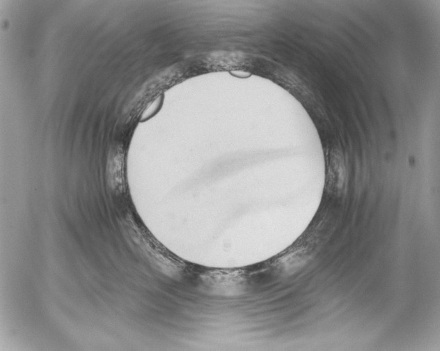 X0000052610526200507292152