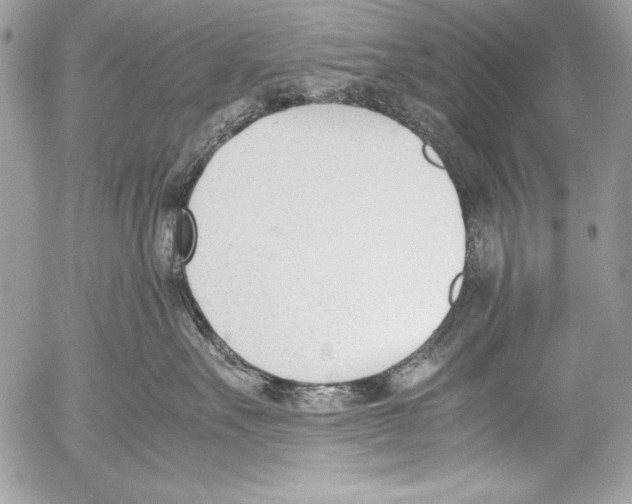 X0000052610527200507292152