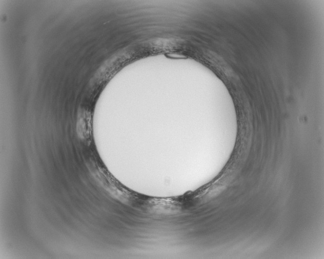 X0000052610528200507292152