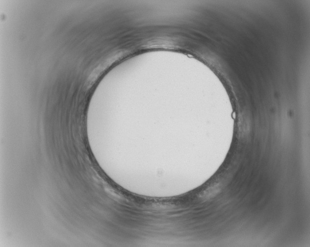 X0000052610529200507292151