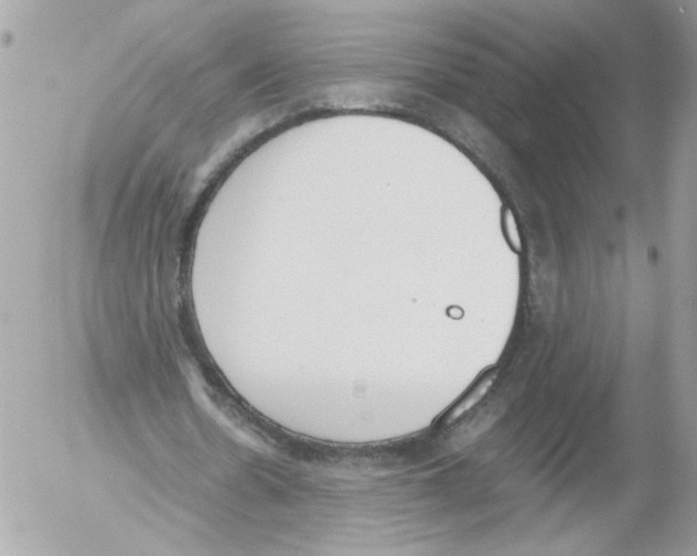 X0000052610530200507292151