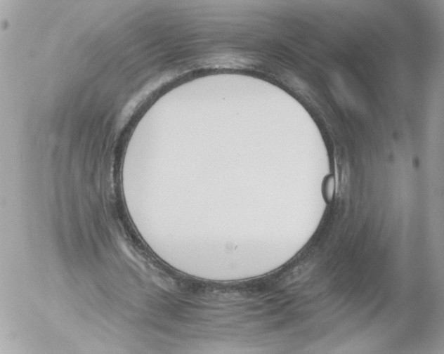 X0000052610531200507292151