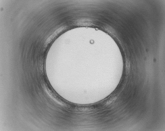 X0000052610533200507292151