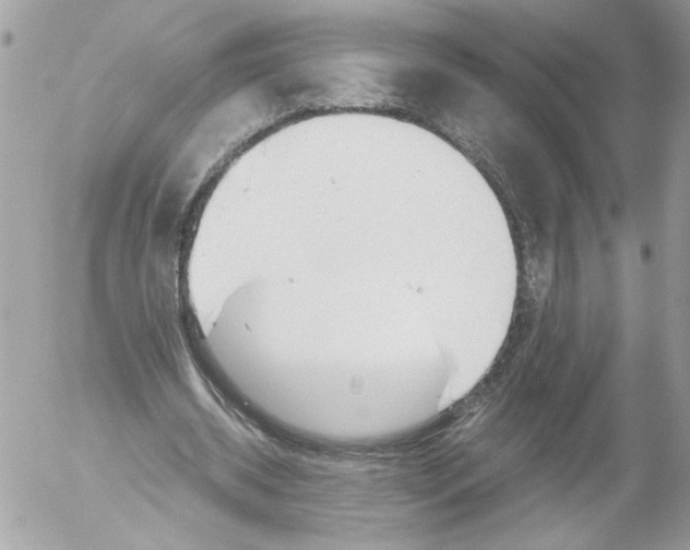 X0000052610534200507292151