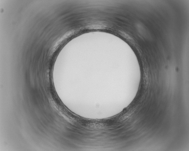 X0000052610535200507292151