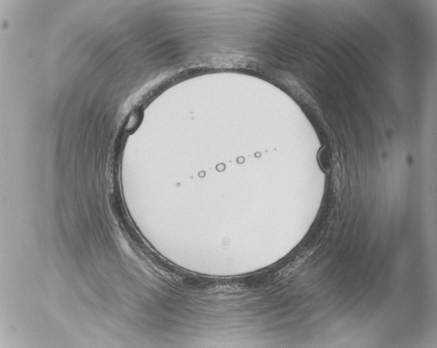 X0000052610536200507292151