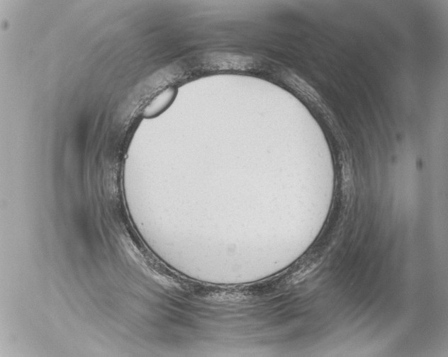 X0000052610537200507292151