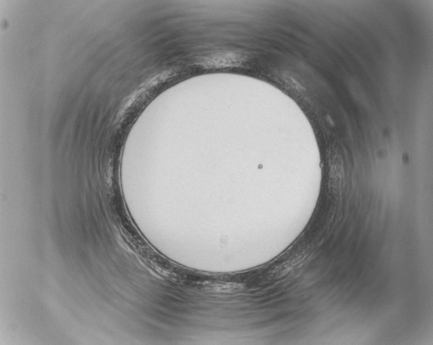 X0000052610539200507292151