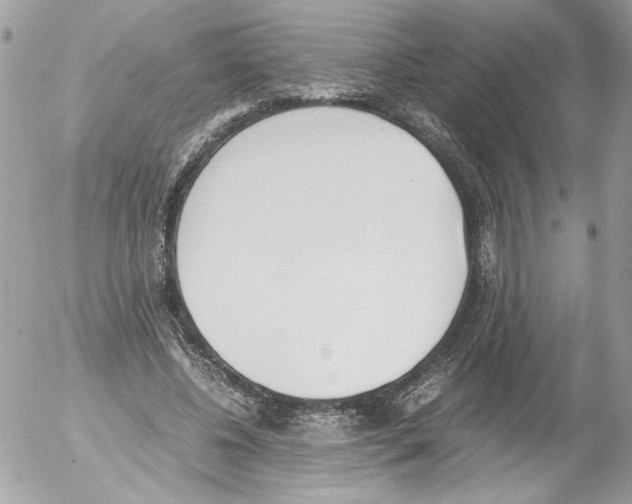 X0000052610540200507292151