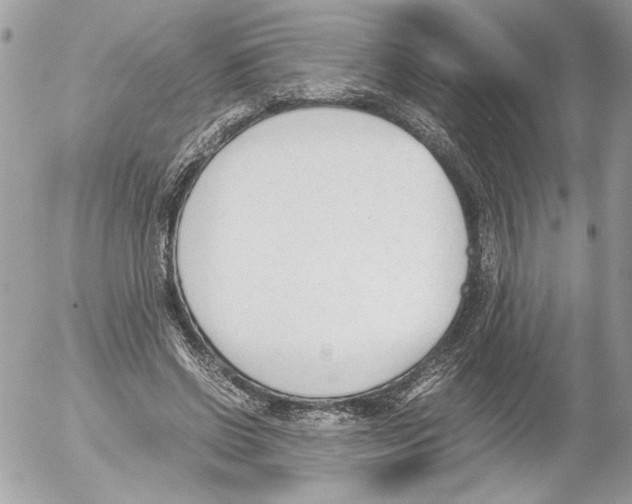 X0000052610542200507292151