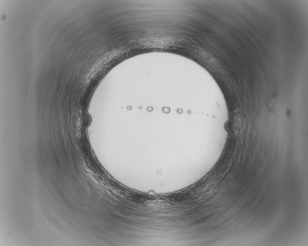 X0000052610544200507292151