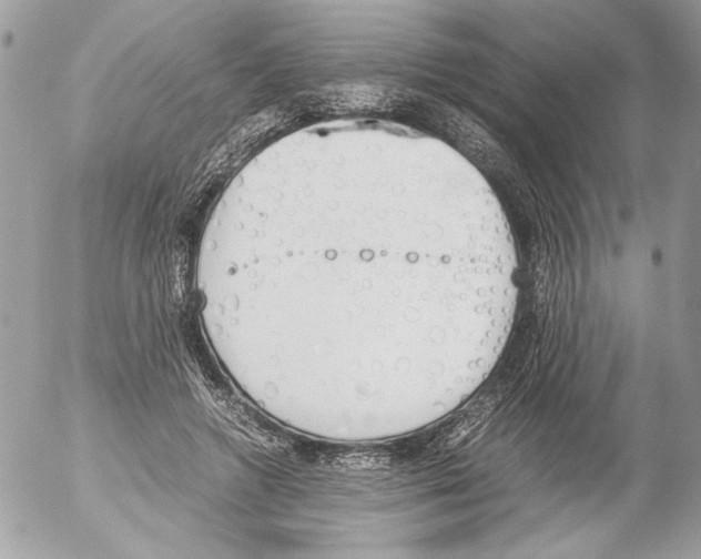 X0000052610546200507292151