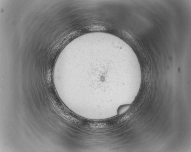 X0000052610549200507292151