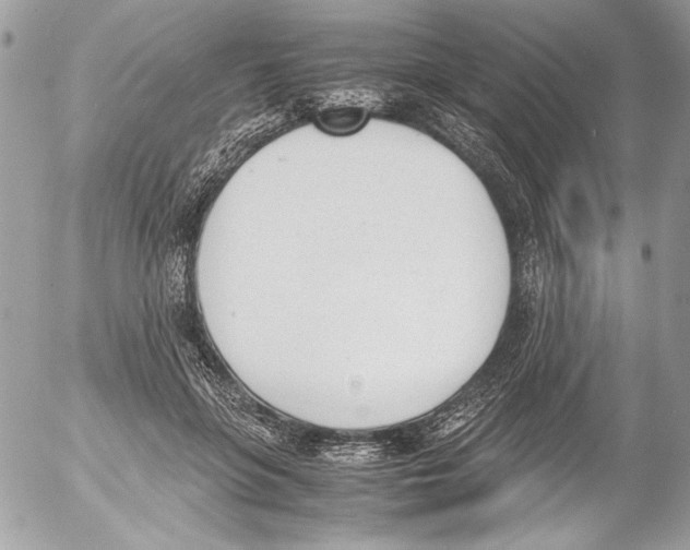 X0000052610551200507292151