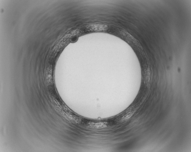 X0000052610553200507292151