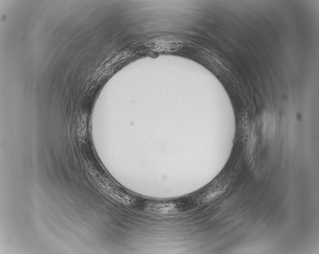 X0000052610554200507292151