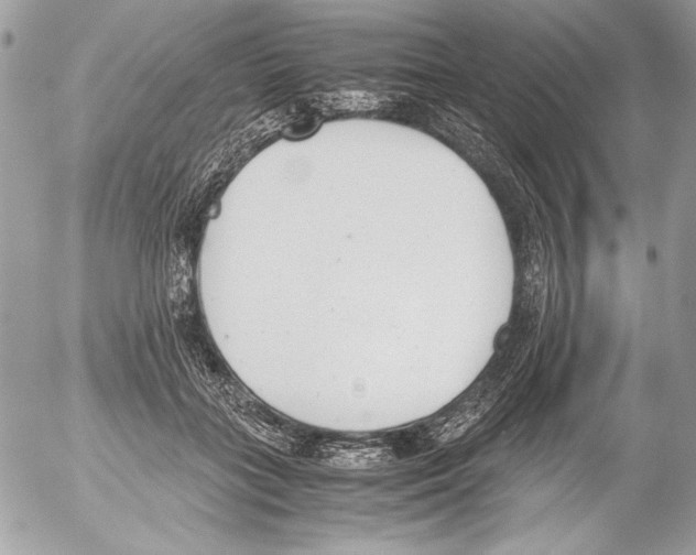 X0000052610555200507292151