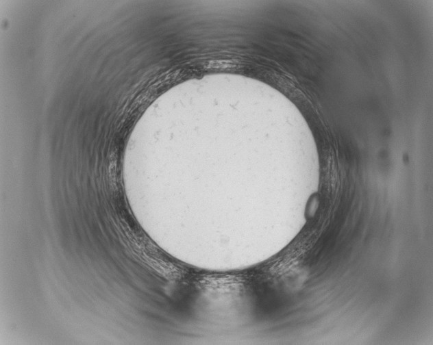 X0000052610557200507292151