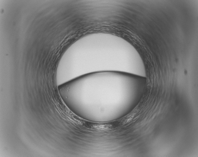 X0000052610558200507292151