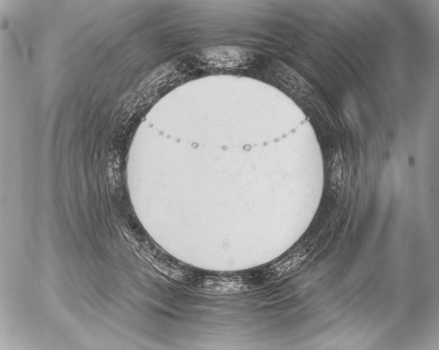 X0000052610559200507292151