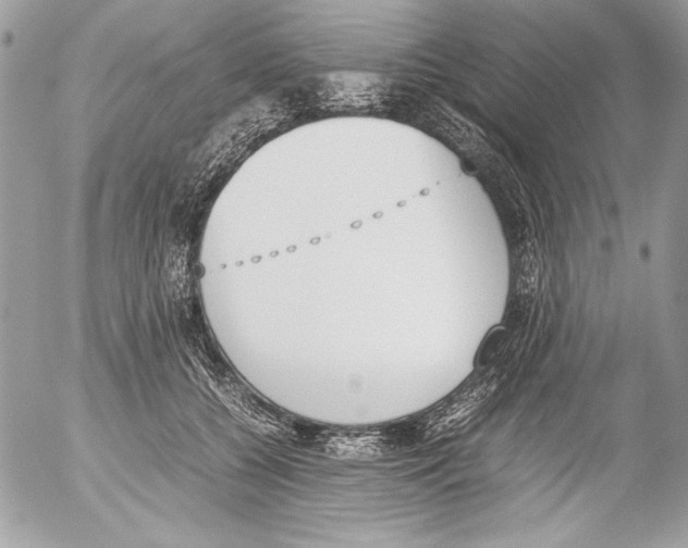 X0000052610560200507292151