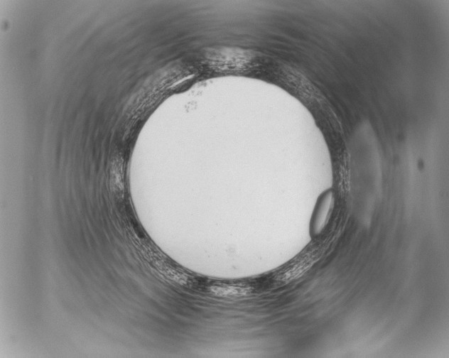 X0000052610561200507292151