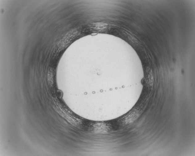 X0000052610562200507292151