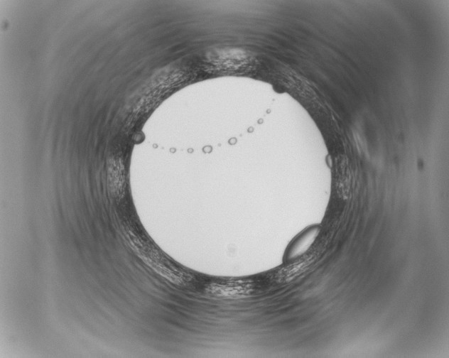 X0000052610563200507292151