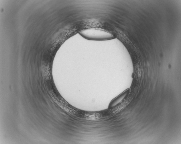 X0000052610564200507292151