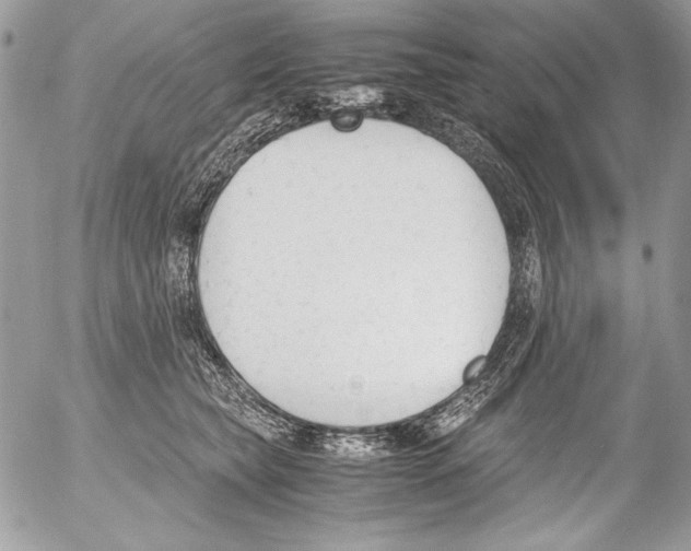 X0000052610565200507292151