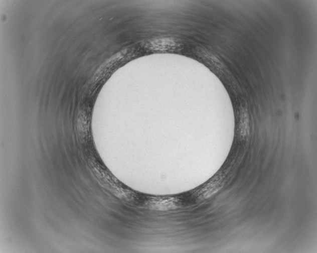 X0000052610569200507292152