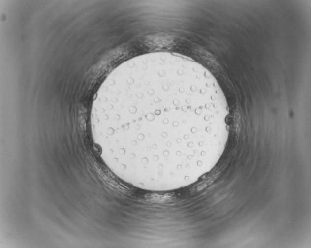 X0000052610570200507292152