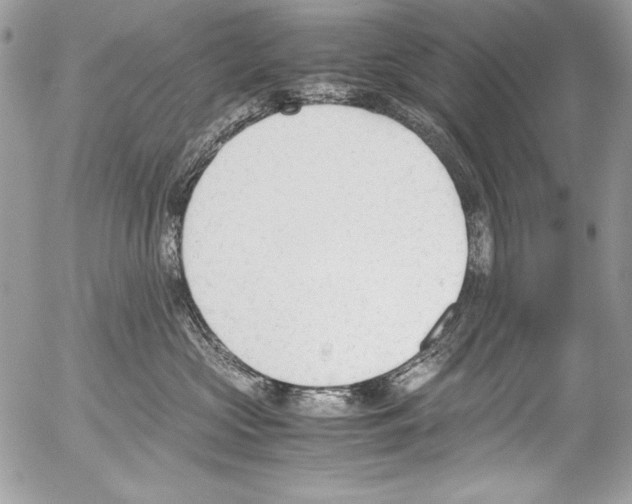 X0000052610573200507292152