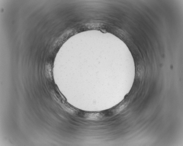 X0000052610575200507292152