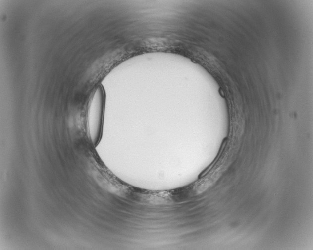 X0000052610576200507292152