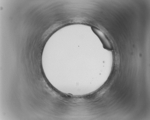 X0000052610577200507292151