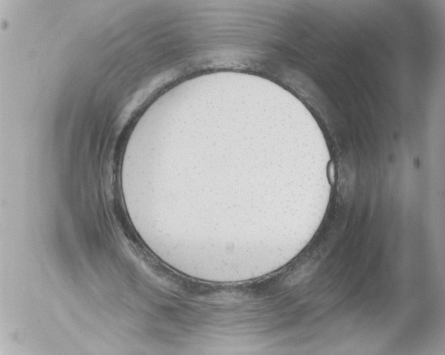 X0000052610578200507292151