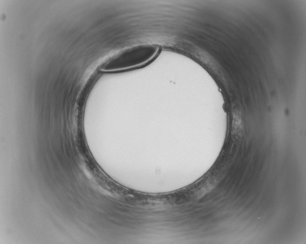 X0000052610580200507292151