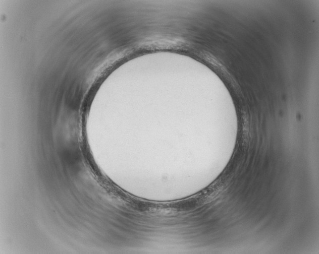 X0000052610582200507292151