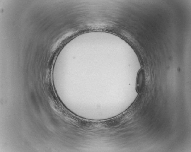 X0000052610583200507292151