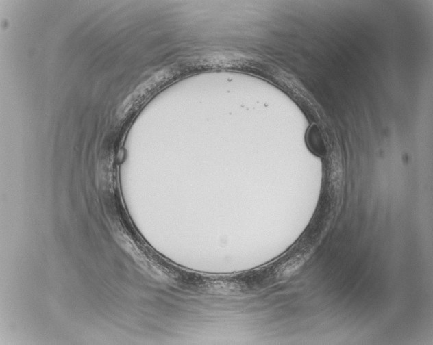 X0000052610585200507292151