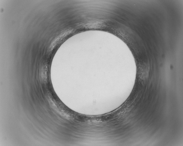 X0000052610586200507292151