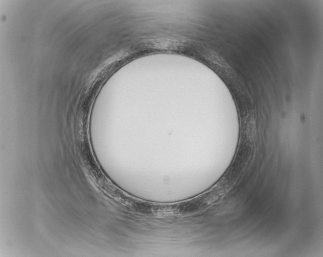 X0000052610587200507292151