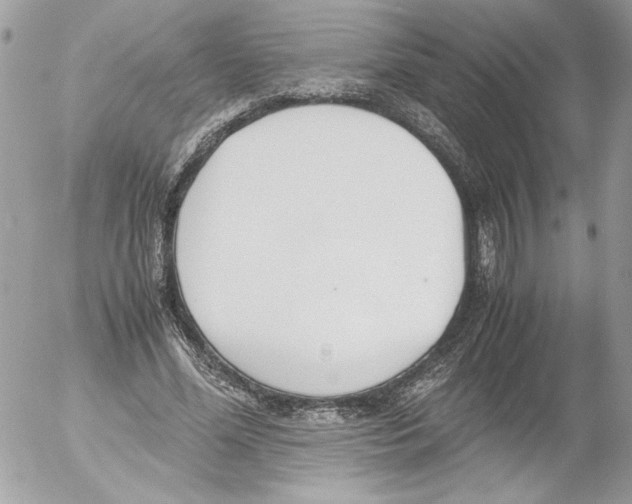 X0000052610588200507292151