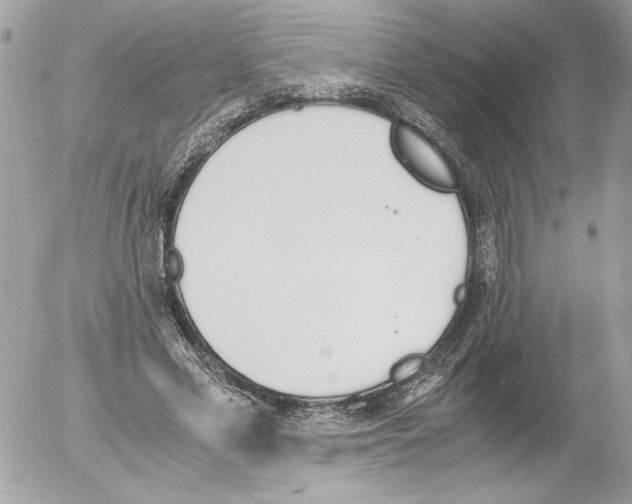 X0000052610589200507292151