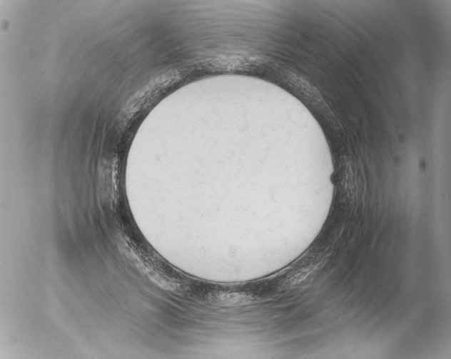 X0000052610590200507292151