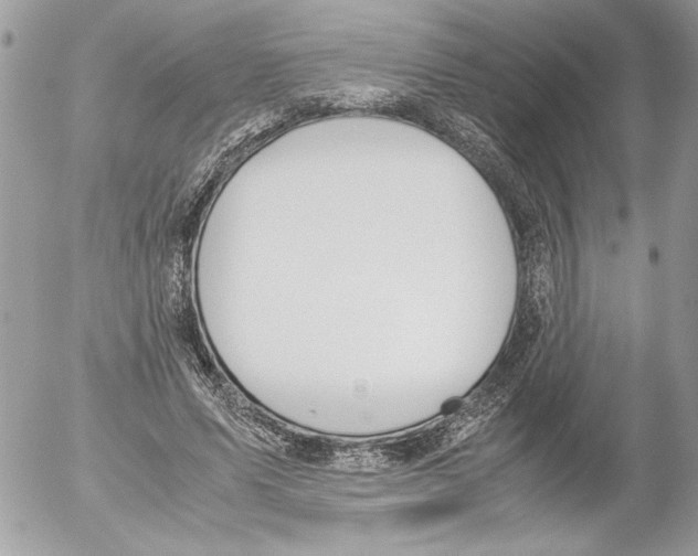 X0000052610591200507292151